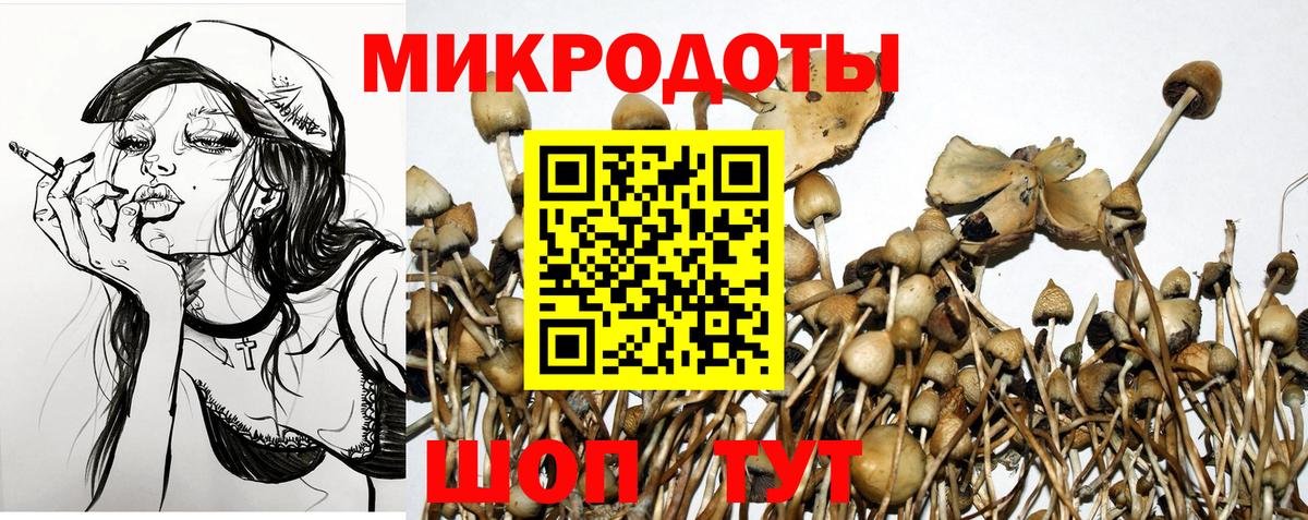 Галлюциногенные грибы мицелий  Псилоцибиновые грибы Psilocybine cubensis  Краснотурьинск  Вход с VPN 