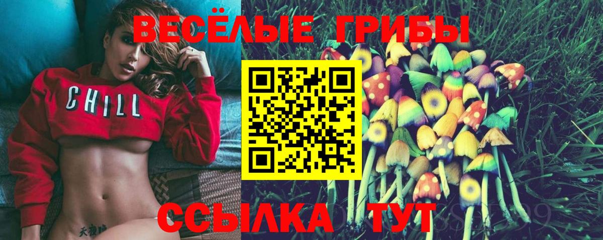 Галлюциногенные грибы Cubensis Краснотурьинск